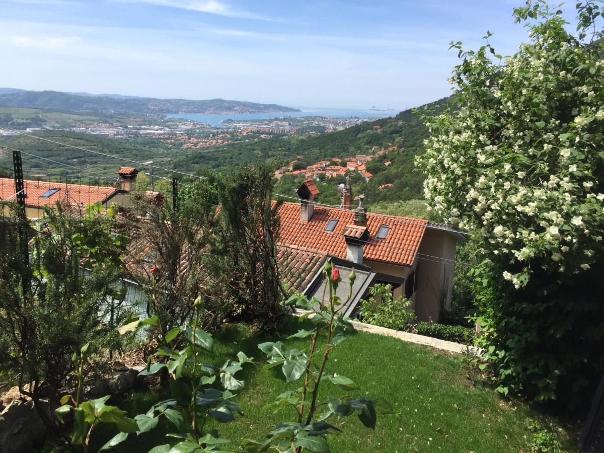 Su Da Noi Bed & Breakfast San Dorligo della Valle Dış mekan fotoğraf