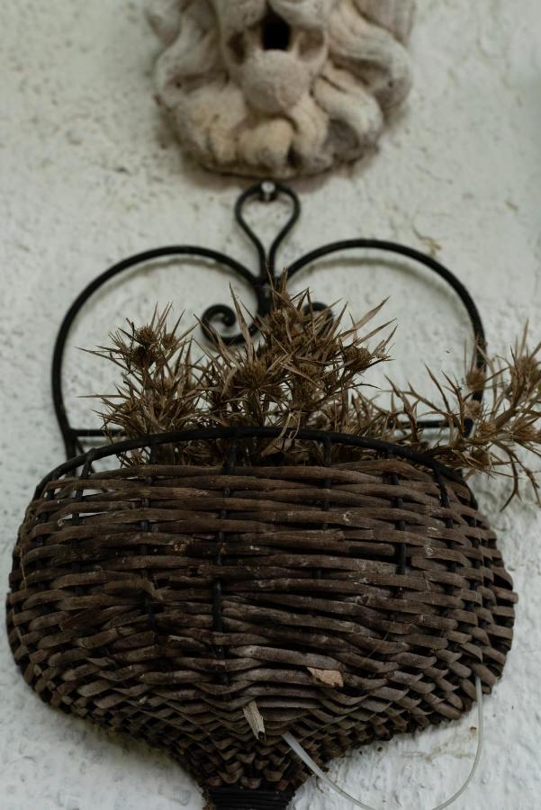 Su Da Noi Bed & Breakfast San Dorligo della Valle Dış mekan fotoğraf