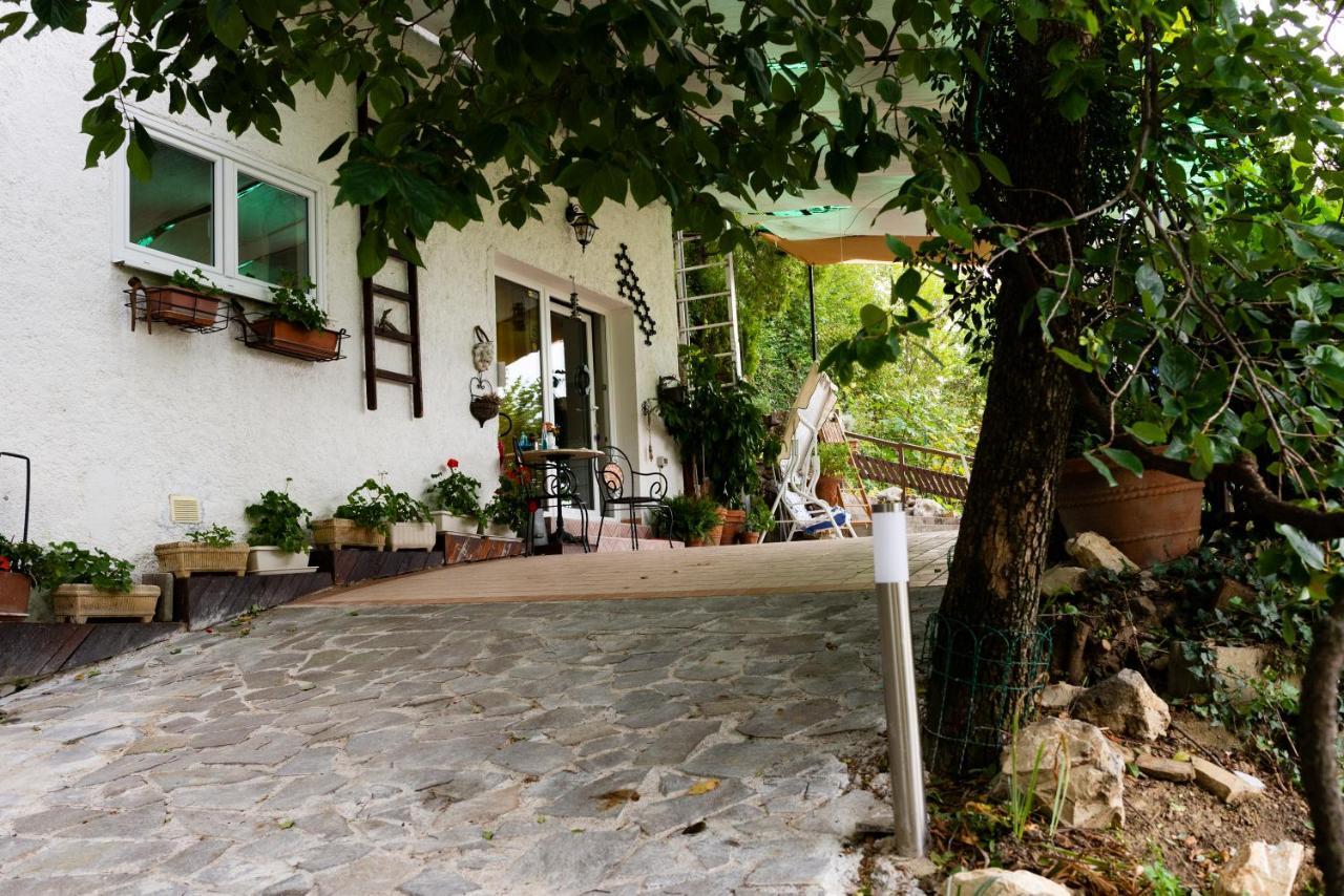 Su Da Noi Bed & Breakfast San Dorligo della Valle Dış mekan fotoğraf