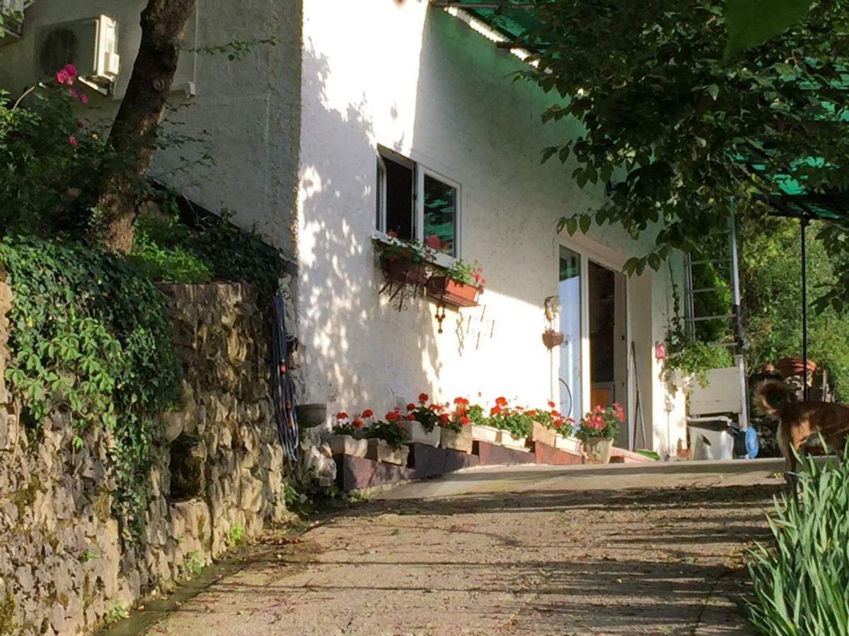 Su Da Noi Bed & Breakfast San Dorligo della Valle Dış mekan fotoğraf