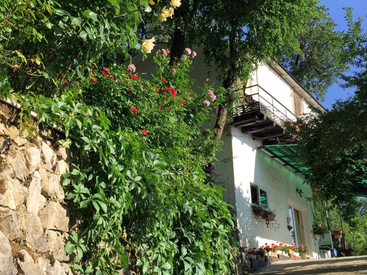 Su Da Noi Bed & Breakfast San Dorligo della Valle Dış mekan fotoğraf