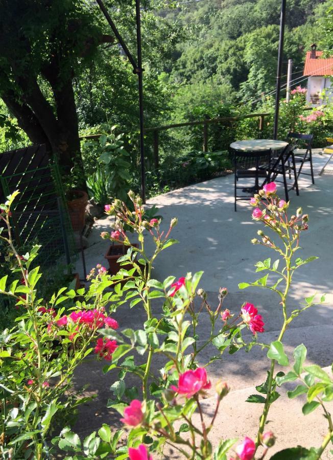 Su Da Noi Bed & Breakfast San Dorligo della Valle Dış mekan fotoğraf