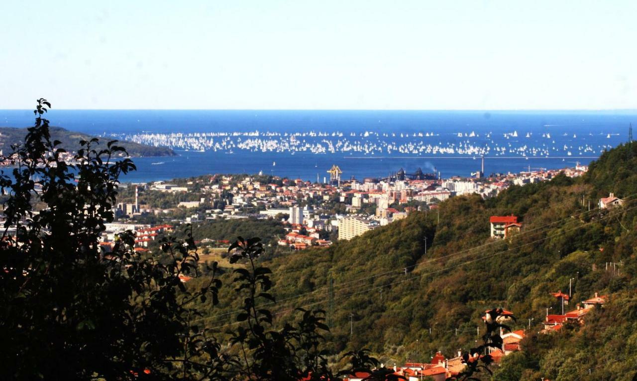 Su Da Noi Bed & Breakfast San Dorligo della Valle Dış mekan fotoğraf